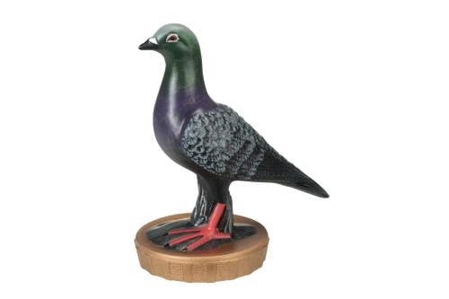 Beker Flexx - Duiven sport